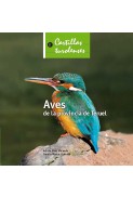 Aves de la provincia de Teruel